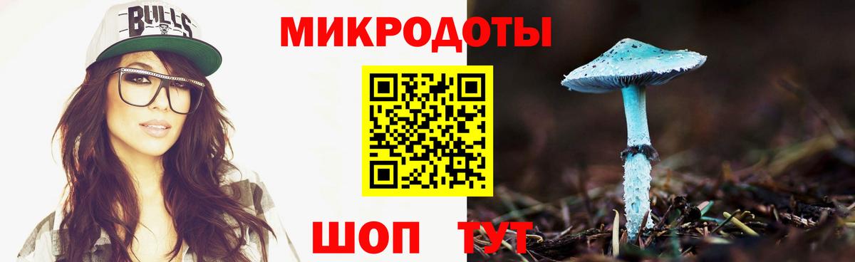 Псилоцибиновые грибы прущие грибы  Вход с VPN  Отрадное 